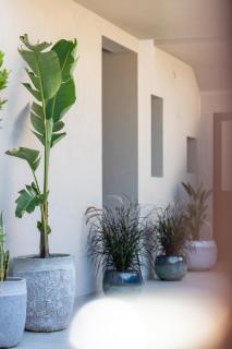 Villa Ilma Luxury Rooms - 5