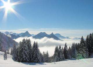 Hôtel Cailler & Bains de la Gruyère - 1