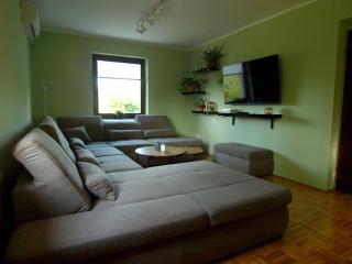Holiday house Zarja - with sauna and hot tub - Bizeljsko - 2
