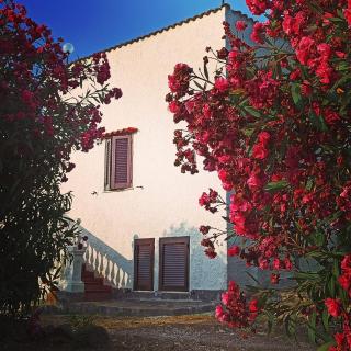 Punta Della Vipera House - Santa Marinella - 2