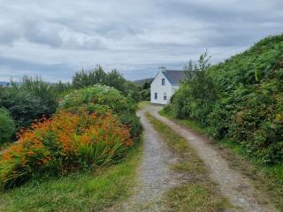 Sea Breeze cottage at The Olde Forge B&B - Caherdaniel - 9