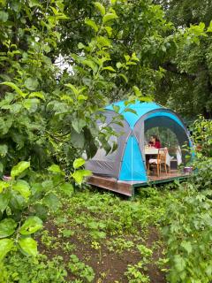 Tereza glamping - Sanain - 8
