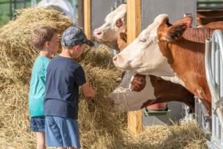 Camping Agrisalus - Arco - 8
