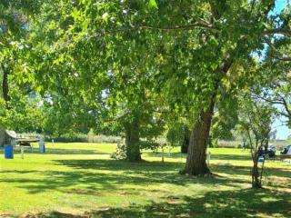 TangleWood Nature Estate - 2
