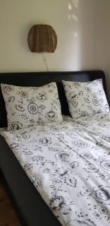 Borostyán nyaralóház - 2