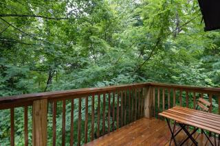 Sugar Bear Cabin with Hot Tub and Fire Pit - 8