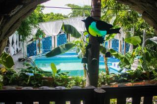 Hotel Raices de la Guajira - Santa Marta - 1