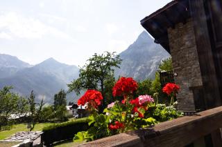 tHE Mountain View Lodge - Courmayeur - Courmayeur - 1