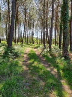 Maison récent proche du lac de Léon et de l'Océan - 2