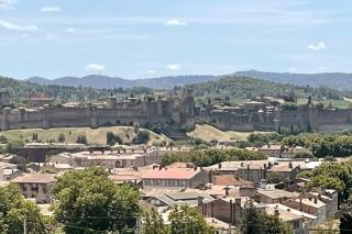Le Panoramique - Sublime vue sur la Cité - Carcassonne - 6