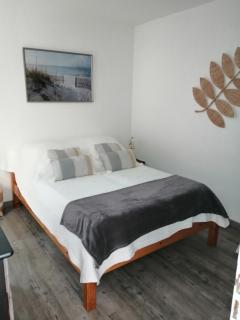 JOLIE APPARTEMENT A LOUER DANS LA PINEDE A 5MN A PIED DE LA PLAGE - 3
