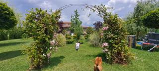 Green Villa Rodna - Skopje - 5