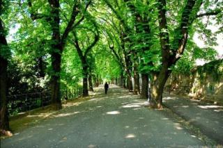 3 min from Main Square Small Peace Oasis - 4