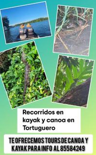 Apartamentos Caimán 3 - Tortuguero - 2