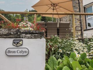 Bron Celyn - Betws-y-coed - 8
