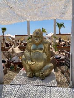 Beachfront Studio Apartment in Marina Dinevi - 1