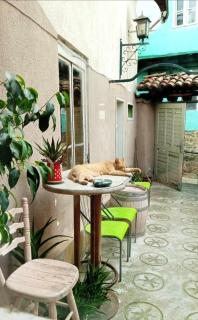 Rooster Hostel - Veliko Tŭrnovo - 9