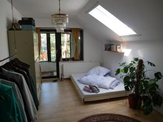 Ferienhaus Pulsberg I gesamtes Haus I inklusive 1300qm Grundstück - Spremberg - 2