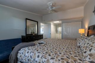 Dolphin Cove Cottage -2-2 Pet Friendly! - New Smyrna Beach - 1