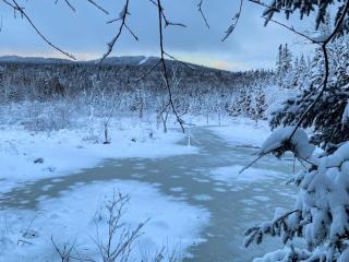 BC Log cabin with private beach river fire pit AC wifi onsite trails ski slope views - Carroll - 8