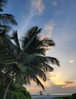 Fehi Velaa Stay - 4