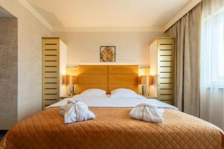Park Hotel Diament Katowice - Katowice - 9