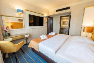 Park Hotel Diament Katowice - Katowice - 3