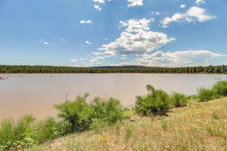 2 Mi to Rainbow Lake Lovely Lakeside Tiny Home - Lake of the Woods - 8