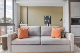 NoMa studio w gym pet grooming nr metro WDC-701 - 9