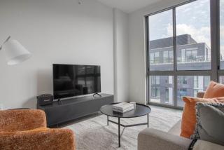 NoMa studio w gym pet grooming nr metro WDC-701 - 8
