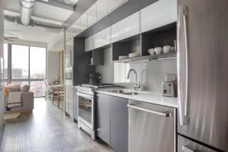 NoMa studio w gym pet grooming nr metro WDC-701 - 3
