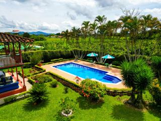 Casa Abba Hotel - La Tebaida - 7