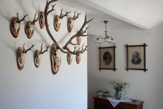 Branntweinhäusl - 2