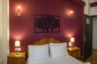The Grand Victoria 6BR 30m to metro AC Netflix - Athens - 2