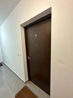 Big apartment 2 - Podgorica - 9