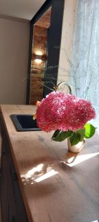 Cenkone Close to Sea and Park, Cozy Studio - Liepāja - 9