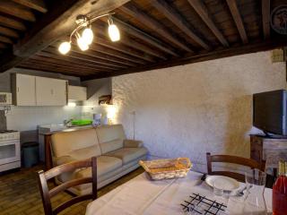 Charmante maison avec poêle et salon ombragé à Pralong - FR-1-496-261 - Pralong - 7