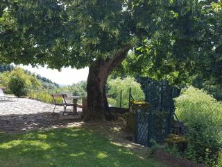 Gîte nature avec jardin, animaux OK, proche activités, Wi-Fi - FR-1-489-458 - Laprugne - 3