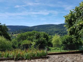 Gîte nature avec jardin, animaux OK, proche activités, Wi-Fi - FR-1-489-458 - Laprugne - 4