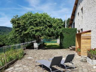 Gîte nature avec jardin, animaux OK, proche activités, Wi-Fi - FR-1-489-458 - Laprugne - 9
