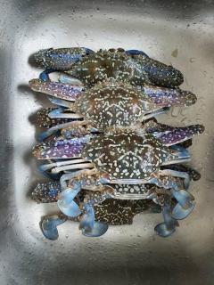 Beachfront Villa, 4 Bedrooms, Private Pool - 4