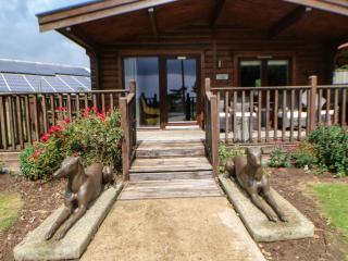 Cornfield - Northallerton - 8