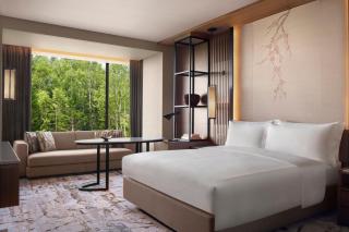 Higashiyama Niseko Village, a Ritz-Carlton Reserve - 2