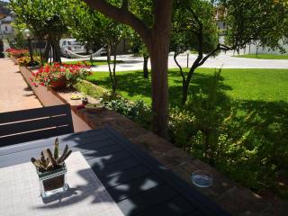 B&B Villa dei Desideri - Praia a Mare - 9