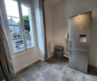 Chaleureux appartement refait à neuf - Vic-sur-Cère - 1