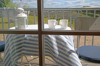 Lavender Village - 7