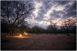 Mopane Bush Lodge - Linton - 9
