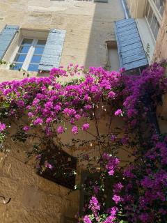 Hôtel du Musée - Arles - 4