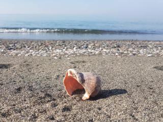 Seaside Shekvetili - 2