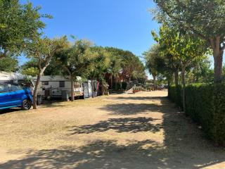 Camping Del Mar - Malgrat de Mar - 9